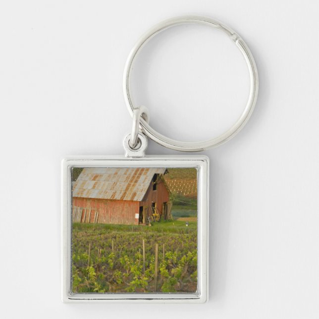 Old red barn at the edge of Zinfandel vineyard Key Ring (Front)