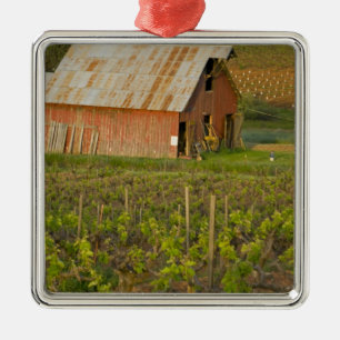 Old red barn at the edge of Zinfandel vineyard Metal Tree Decoration