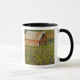 Old red barn at the edge of Zinfandel vineyard Mug