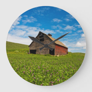 Old, red barn in field of chickpeas large clock