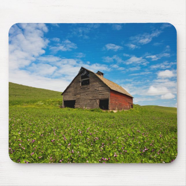 Old, red barn in field of chickpeas mouse mat (Front)