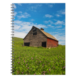 Old, red barn in field of chickpeas notebook
