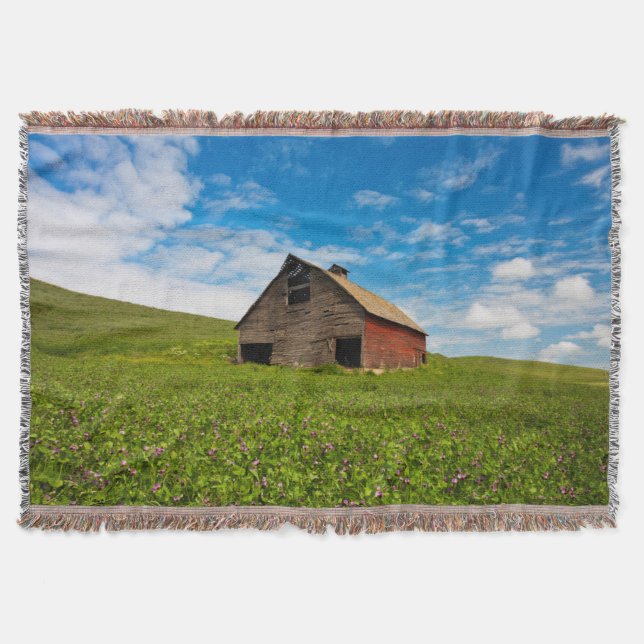 Old, red barn in field of chickpeas throw blanket (Front)
