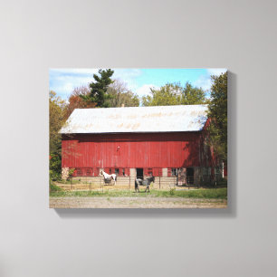 Old Red Barn with Horses Colour 11x14 Canvas Print
