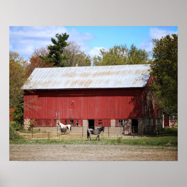 Old Red Barn with Horses Colour 16x20 Poster (Front)