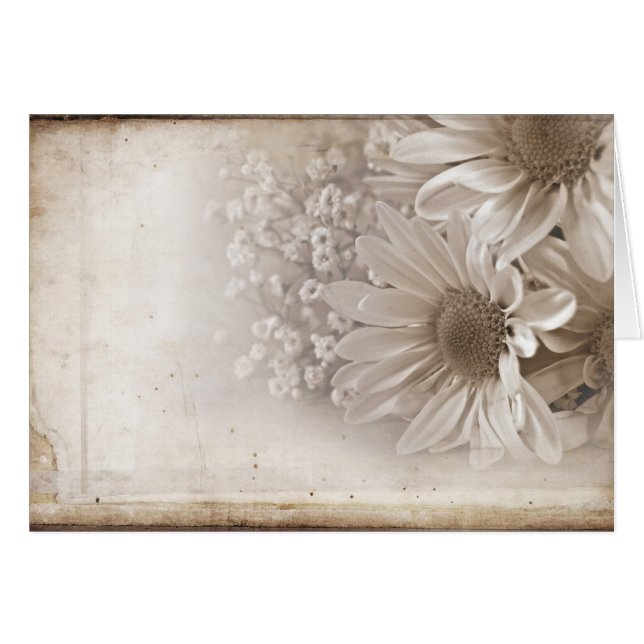 Old Romance (Front Horizontal)