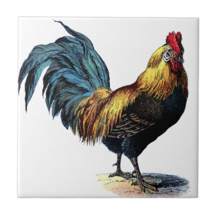 OLD ROOSTER TILE