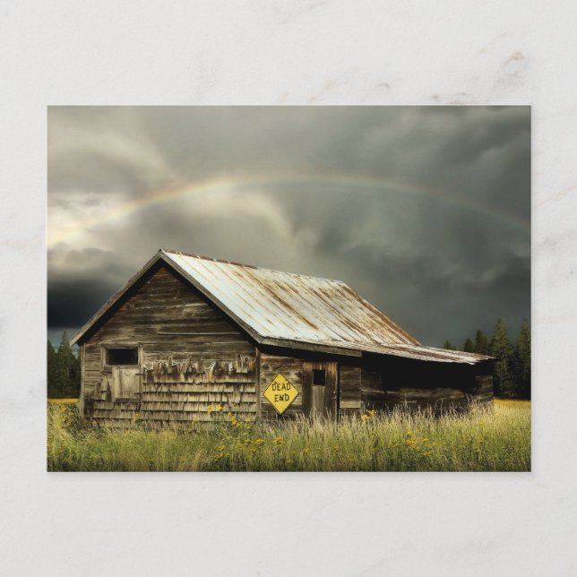 Old Roots Post Card (Front)