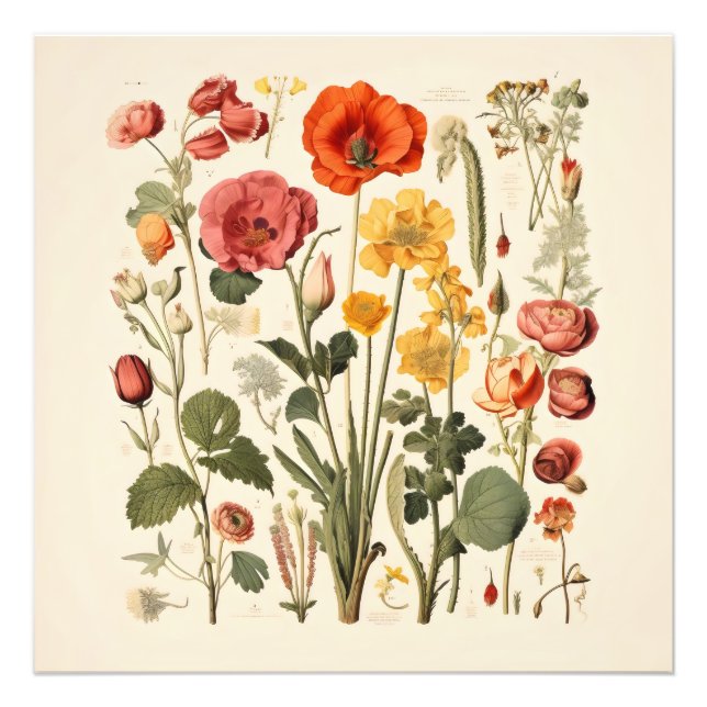 Old-School Flowers Photo Print (Front)