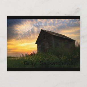 Old shed outside of Grey, Saskatchewan Postcard