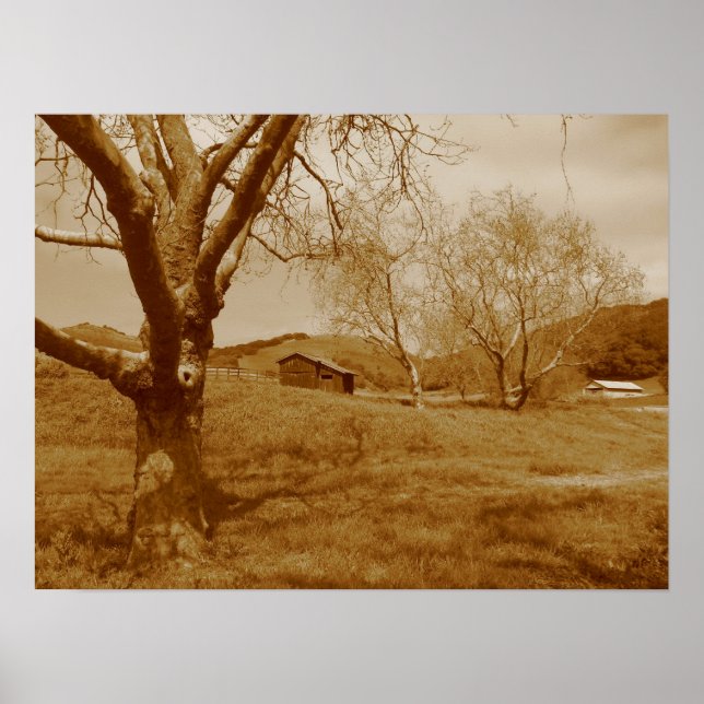 Old Shed Poster (Front)