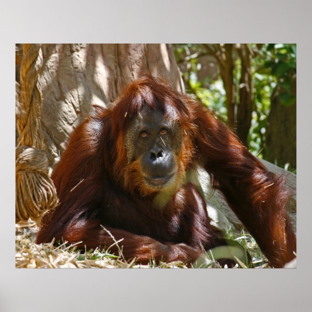 "Old Soul" Poster (Front)