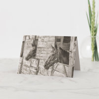 old stable horses greeting card