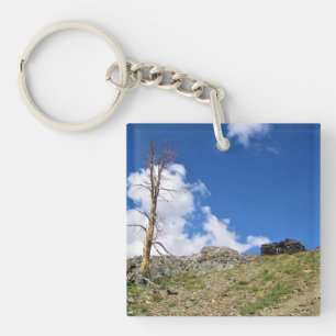 Old Stone Cabin at Gaylor Lakes, Tioga Pass, CA Key Ring