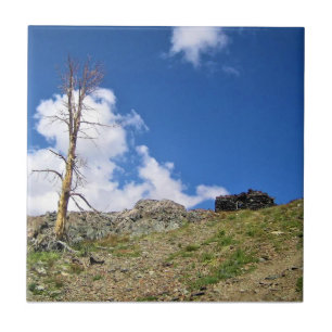 Old Stone Cabin at Gaylor Lakes, Tioga Pass, CA Tile