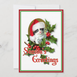 Old Style Christmas Kitten Season's Greetings Invitation