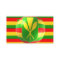 Old Style Hawaiian Flag
