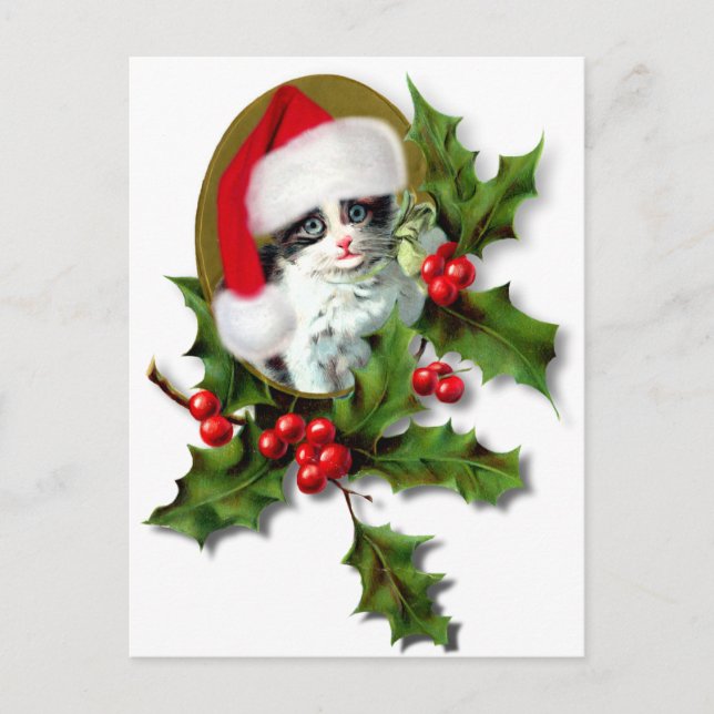 Old Style Vintage Christmas Kitten Holiday Postcard (Front)