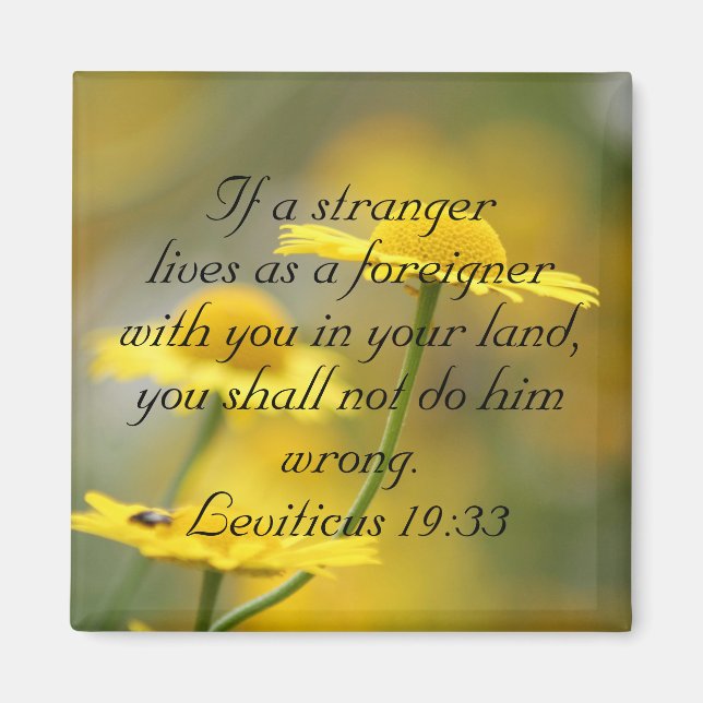 Old Testament Bible Scripture Quote – Leviticus 19 Magnet (Front)