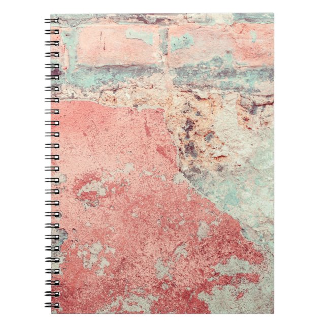 Old textured concrete wall with natural defects. S Notebook (Front)