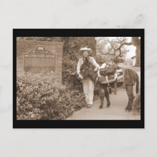Old Time donkey postcard