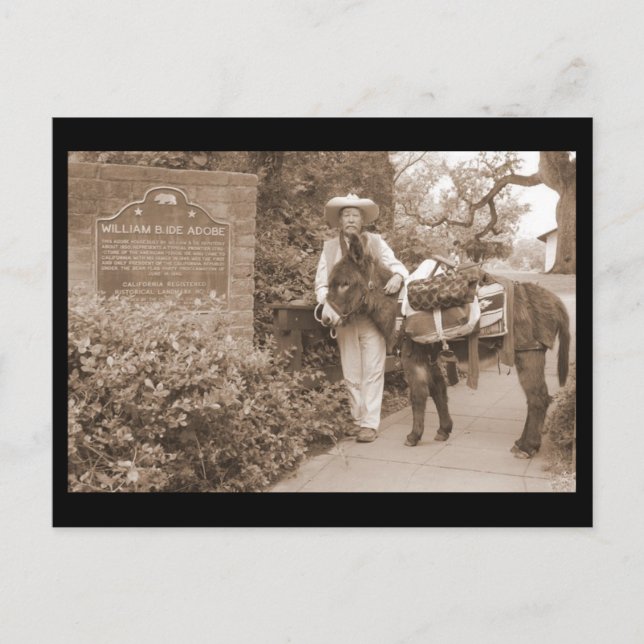 Old Time donkey postcard (Front)