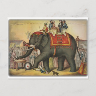 old time performing elephant postcard