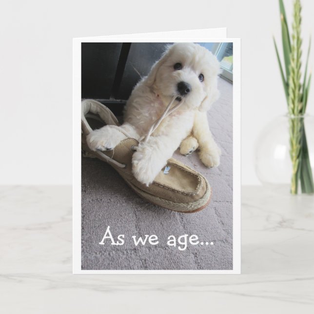Old Timer Birthday, Cute Goldendoodle pup Humour Card (Front)