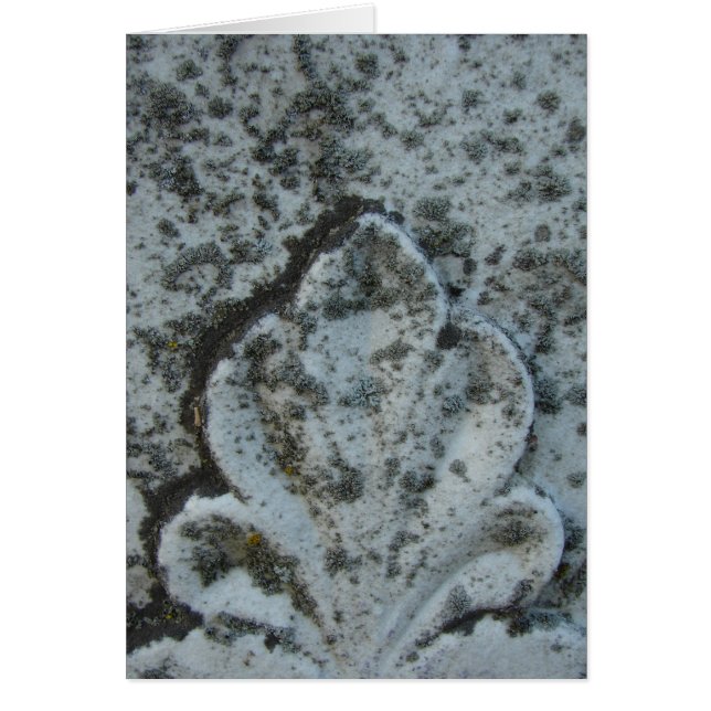 Old Tombstone Decoration, Blank Inside (Front)