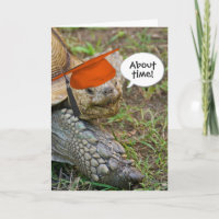 Old Tortoise Graduate with Orange Cap