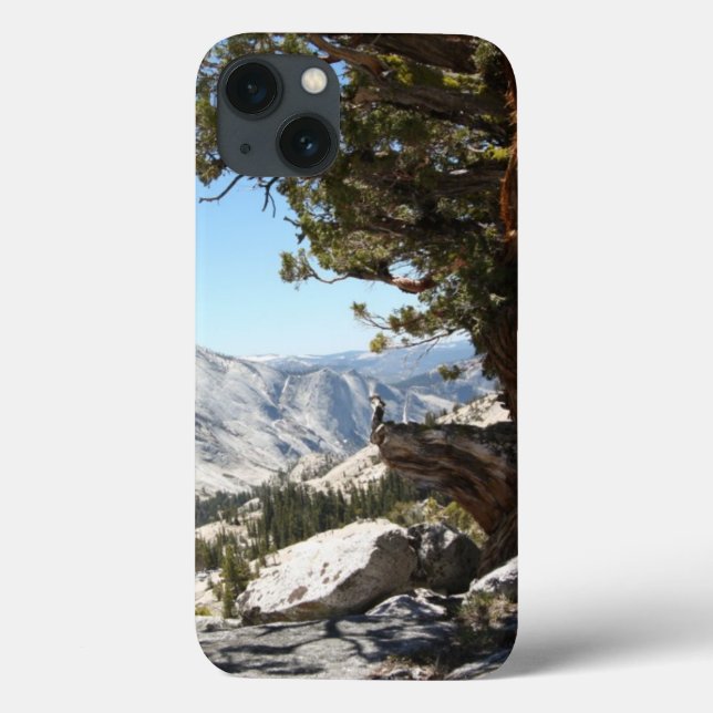 Old Tree at Yosemite National Park Case-Mate iPhone Case (Back)