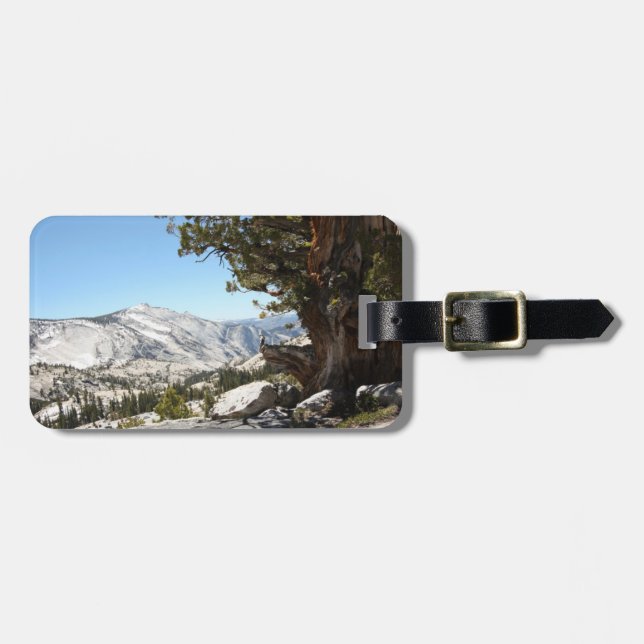Old Tree at Yosemite National Park Luggage Tag (Front Horizontal)