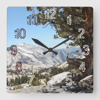 Old Tree at Yosemite National Park Square Wall Clock