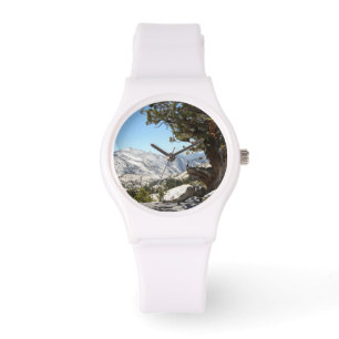 Old Tree at Yosemite National Park Watch