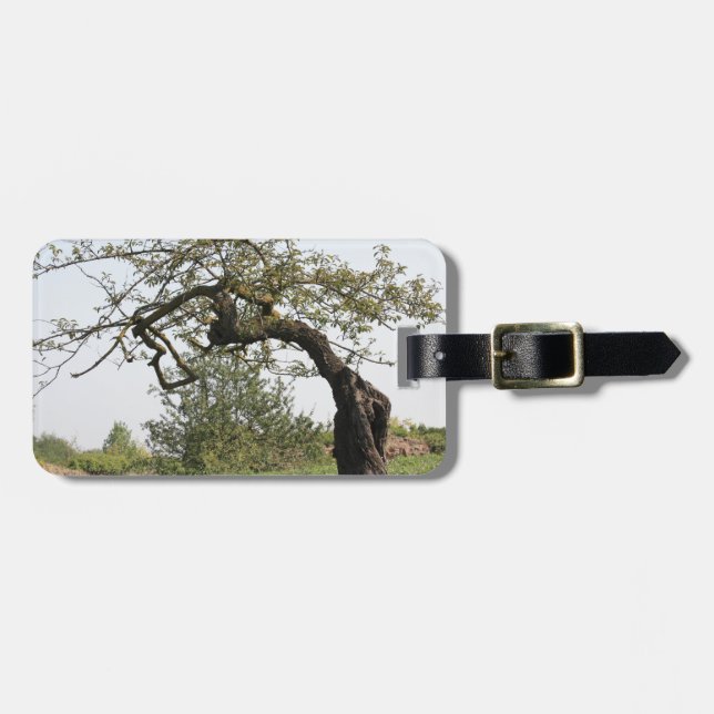 Old tree in Italy Luggage Tag (Front Horizontal)