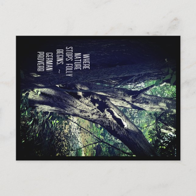 Old Tree in the Woods & German Proverb Postcard (Front)