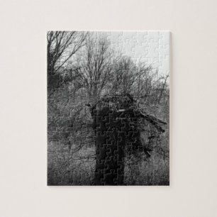 Old Tree Jigsaw Puzzle