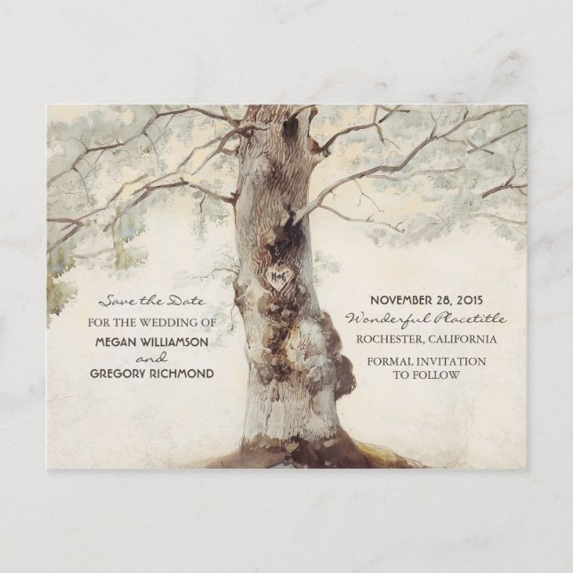 Old Tree Rustic Save the Date Postcards (Front)