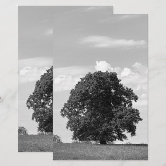 Old tree stationery