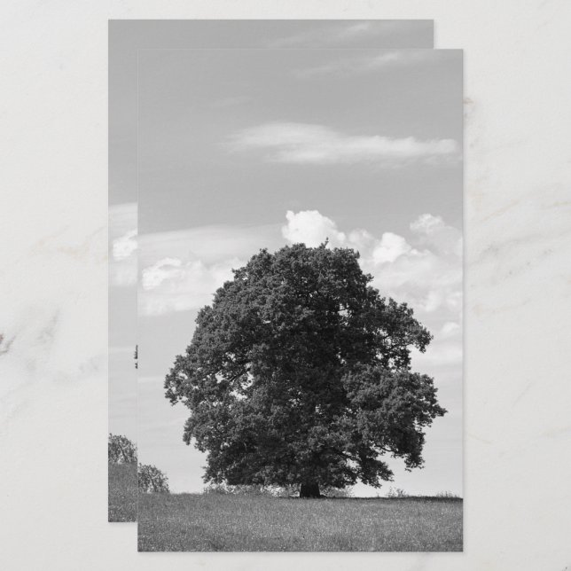 Old tree stationery (Front/Back)