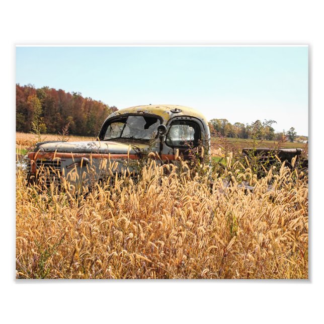 Old Truck in Autumn Farm Field Photo Print (Front)