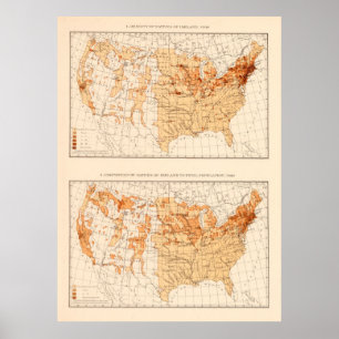 Old US Irish Population Map (1900)  Poster