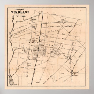 Old Vineland NJ Map (1875) Dandelion Capital  Poster