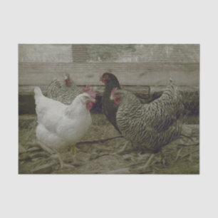 Old Vintage Barnyard Country Chicken Tissue Paper