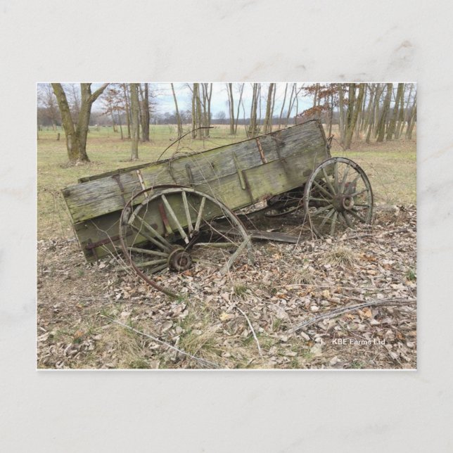Old Wagon In Fall On The Prairie  - Postcard (Front)