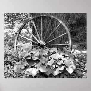 Old Wagon Wheel Garden Black And White  Poster