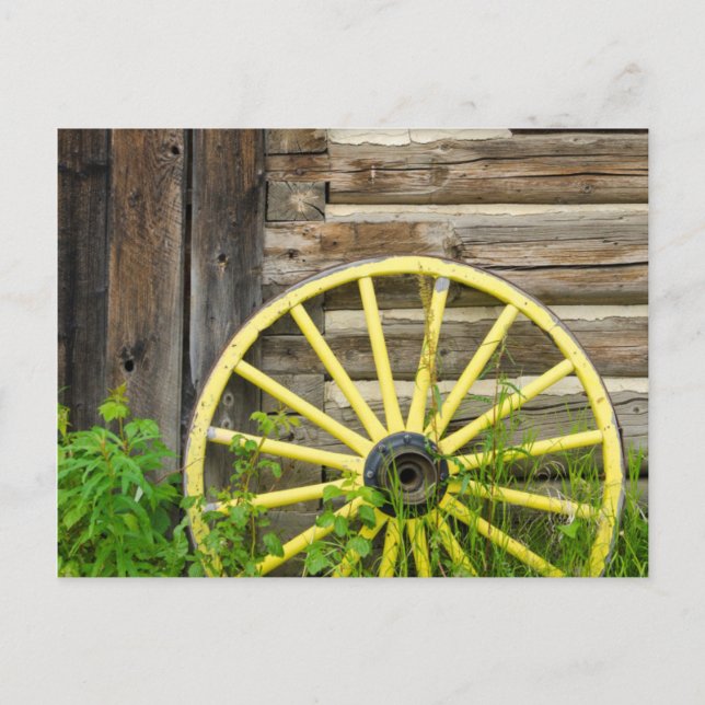 Old wagon wheel in historic old gold town postcard (Front)