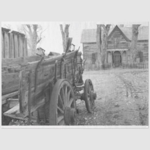 Old West Tissue Paper