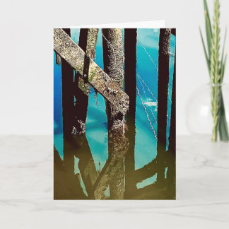 Old Wharf Pier Barnacle Beams Posts Pilings Card