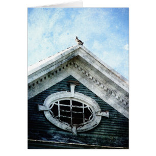 Old Window and a Pigeon